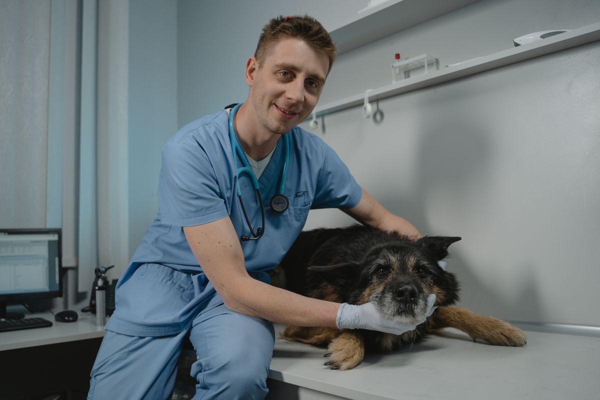 A veterinarian smiling beside a dog in a consultation room