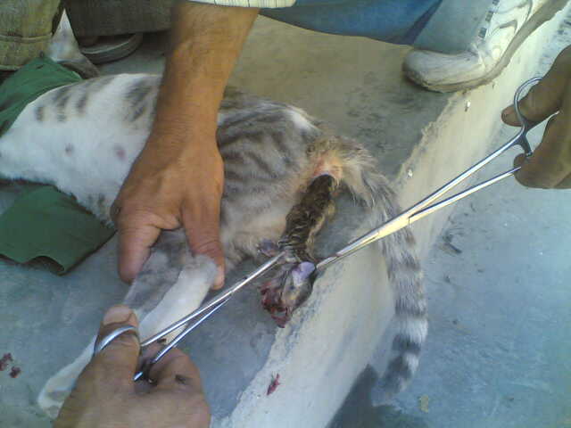 090620072.jpg