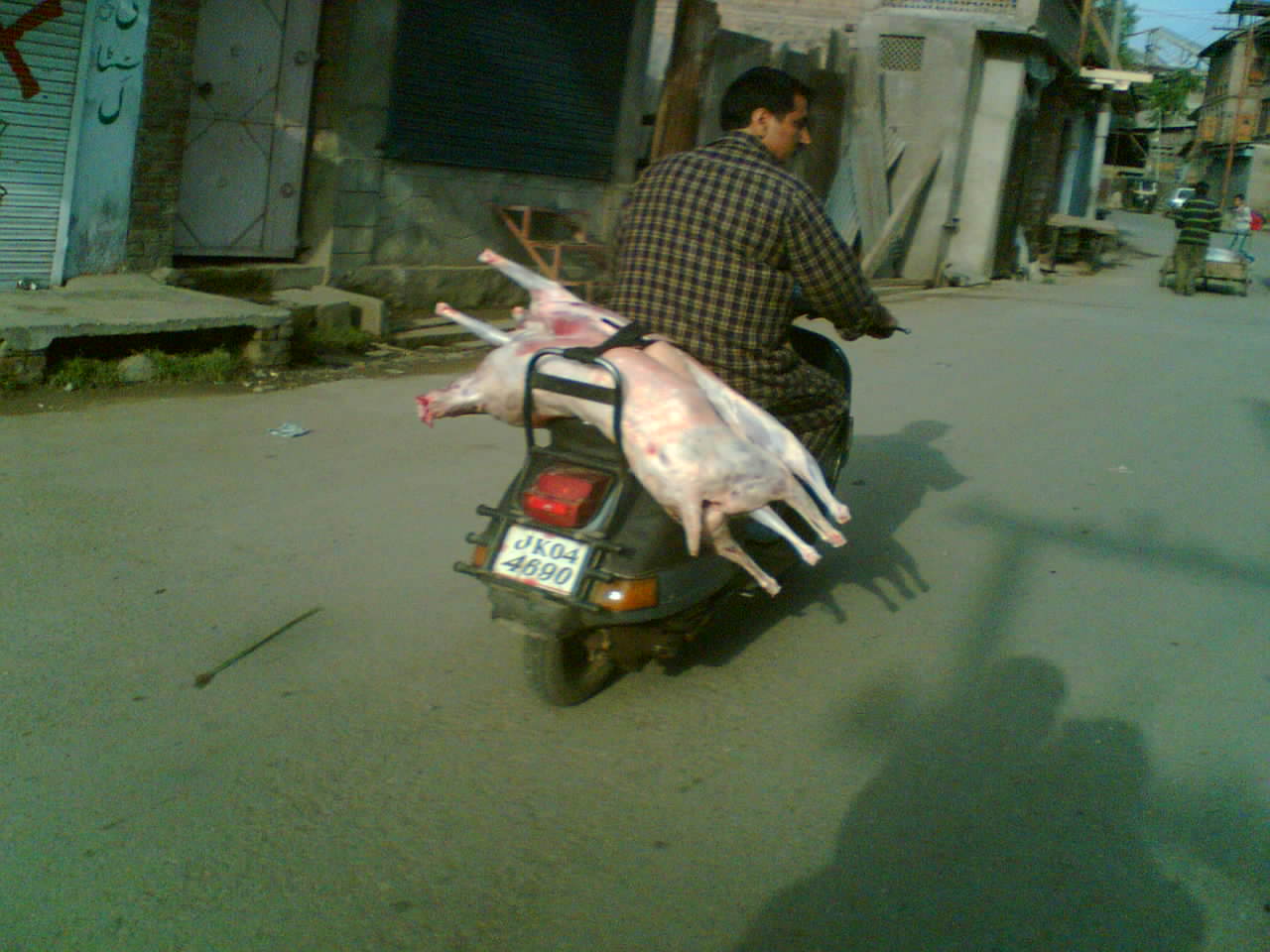 fate of human health