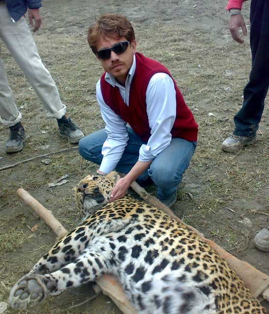 leopard-pm3 post mortem on a leopard in kashmir