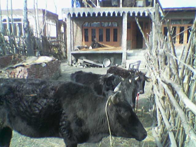 photo_026.jpg