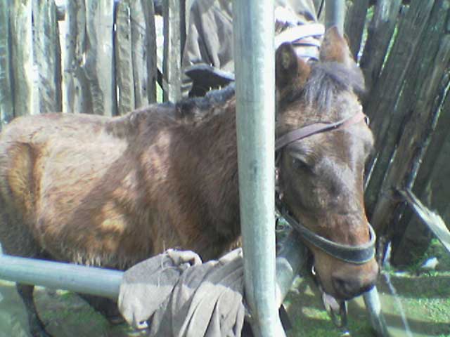 photo_033.jpg