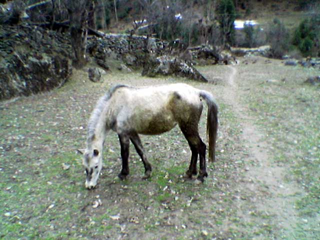 photo_036ps.jpg