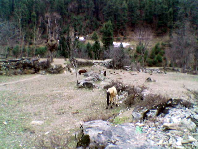 photo_037ps.jpg