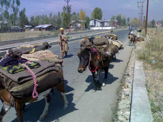 Tribal Migration